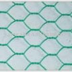 Plastic Coated Hexagonal Wire Netting(Exporter)