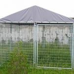 Dog friendly Metal Dog Cage