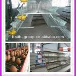 automatic chicken layer cage for poultry house