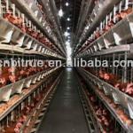poultry battery cages
