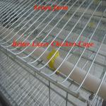 Hot-Sale BT factory A-128 chicken egg layer cages(Welcome to Visit my factory)