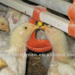nipple drinking system of poultry equipment