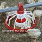 Pars Poultry Auger feeding system