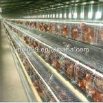 poultry equipment for layers