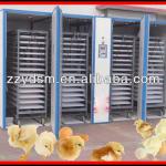 small chicken egg incubator popular in Africa