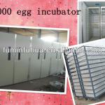Profession design of egg Hatching Machine