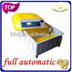 Fully Automatic CE Certificate Mini Chicken Incubator for Sale 48 Eggs