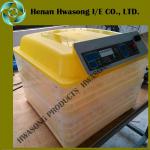 Solar egg incubator with high quality