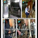 two-buckets cow milk machine for sale for little farm