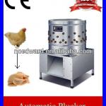 2013 Fully Automatic Chicken Poultry Equipment On Sale With CE Approved