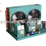 Bitzer Refrigeration Air Cooled Unit