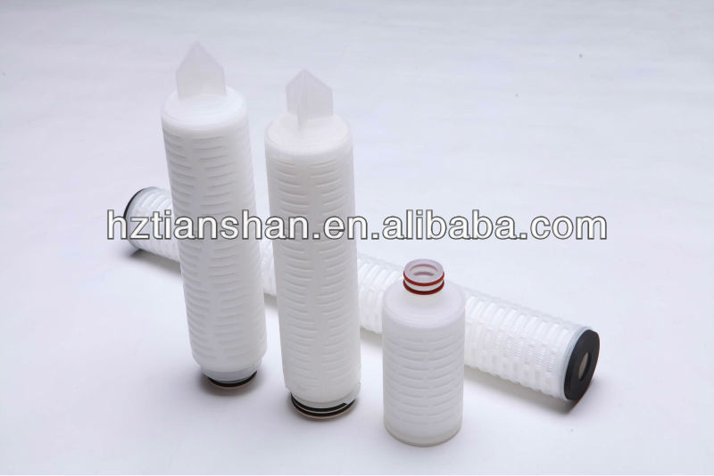 0.65um PES Filter Cartridge