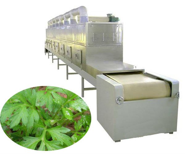 100-1000kg/h industrial used big capacity microwave dryer for vegatables, tea leaf,stevia leaf,moringa,olive leaves