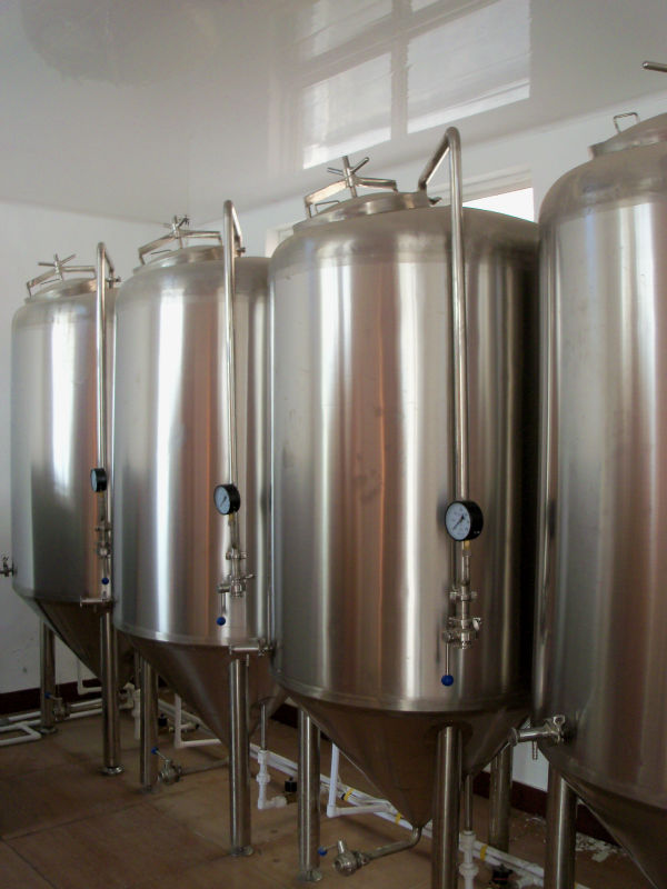 100-1000L beer brewing equipment