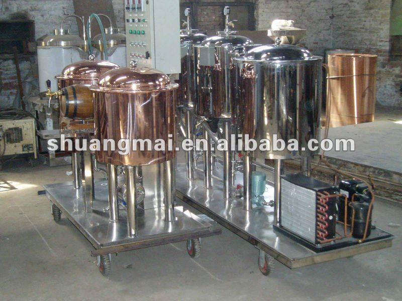 100-1000L beer equipment