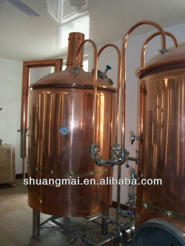 100-1000L beer manufacturing equipment