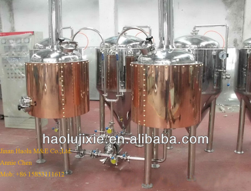 100L beer brewing fermentor,beer kegs, craft beer,draft beer equipment