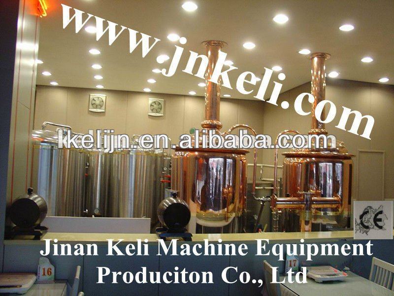 200L hotel micro brewery beer equipment