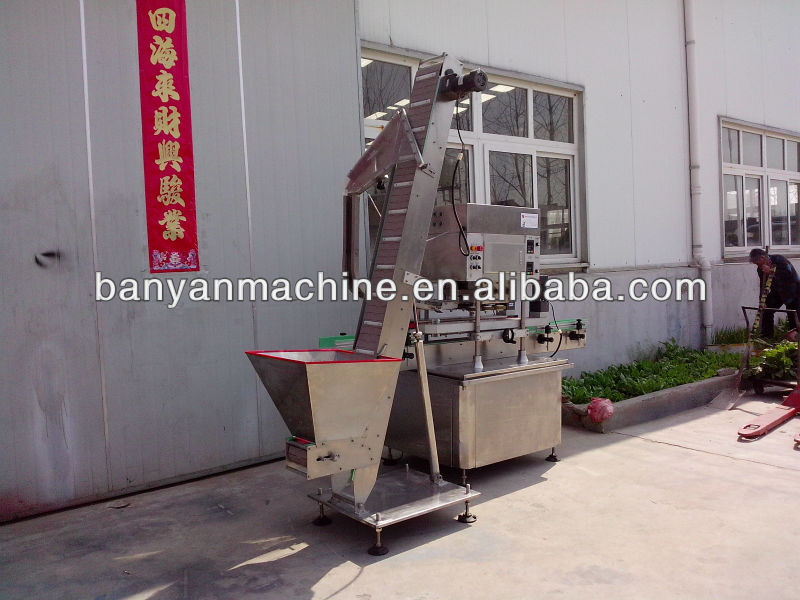 2013 Automatic PET Round Bottle Screw Capping Machine