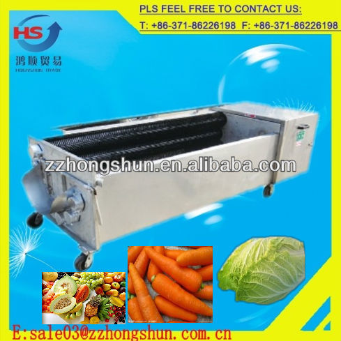 2013 hot sell vegetable washing machine