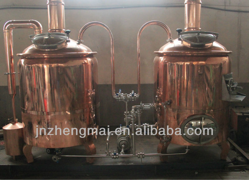 300L luxury hotel beer brewing equipment