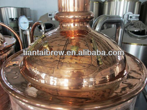 300L Micro Brewery Equipment