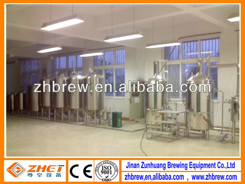 300L mini brewery equipment