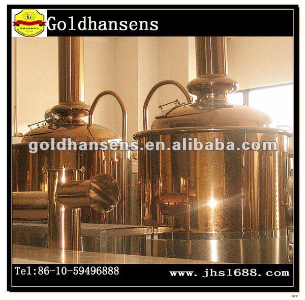 300l professional brewery machine