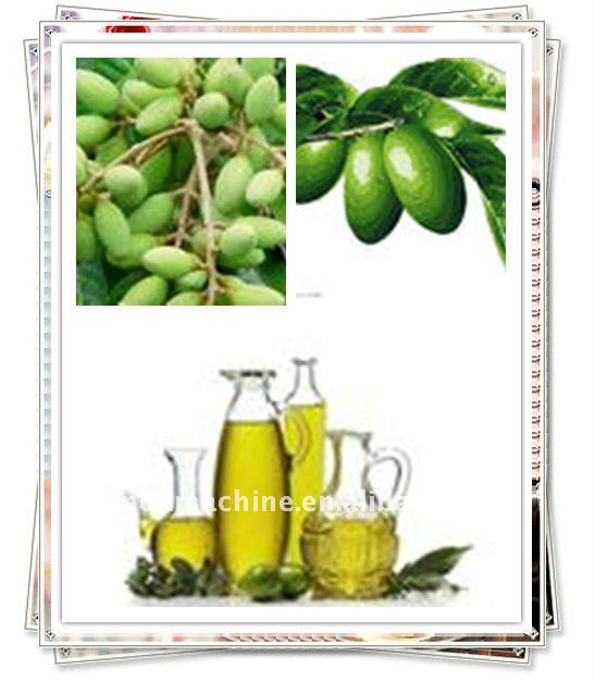 6yl-130A Vegetable Olive Oil Cold Press Machine