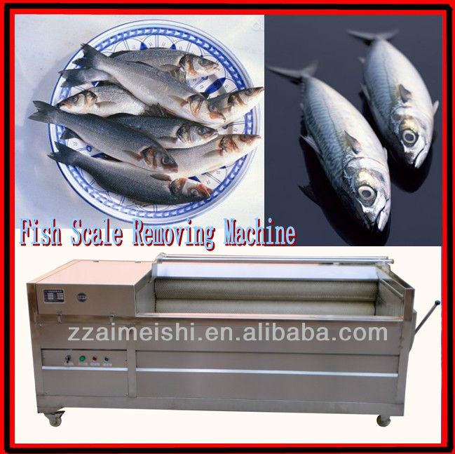 800 kg/h Stainless steel small Fish scale removing machine Take off the fish scales