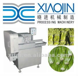 800kg/h Vegetable Cutter QC160