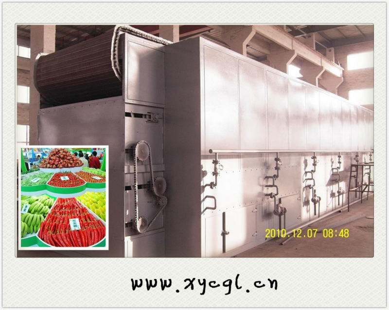 Agricultural Products Mesh-Belt Dryer