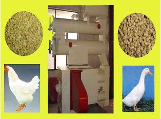 Animal feed pellet making machine/machinery for fish cattle sheep chicken dog