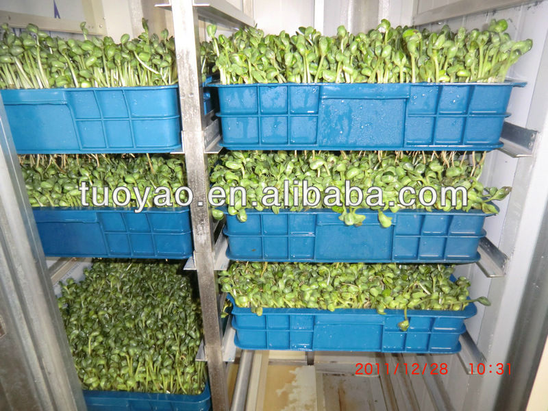 Animal Green Fodder Machine with factory price