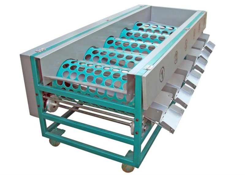 Apple sorting machine