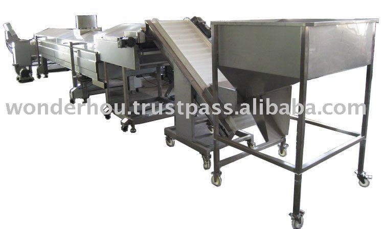 Automatic Fryer Machine