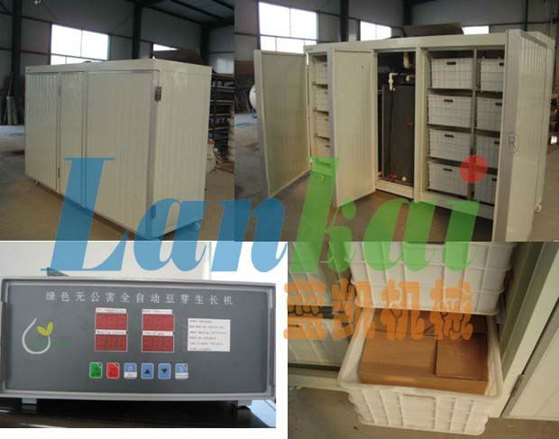 automatic green/yellow/board/soybean bean sprout process machine