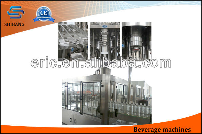 Automatic PLC control pure water machine