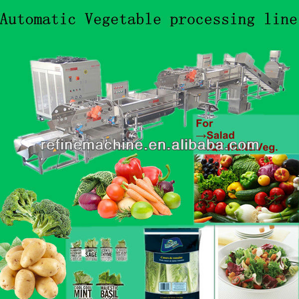 automatic vegetable processing line/salad/IQF