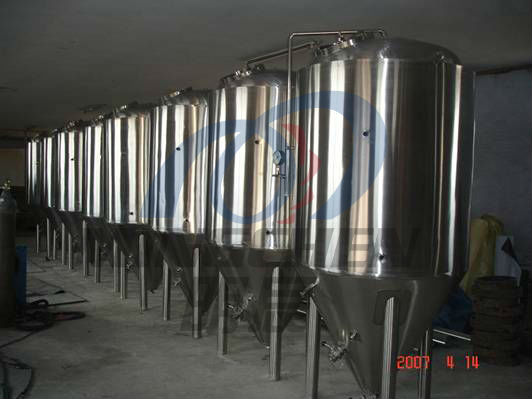 Beer Fermentor