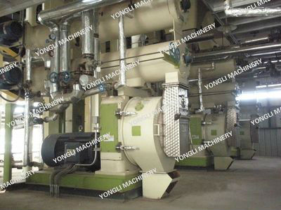 Biomass Energy Pellet Producing Line