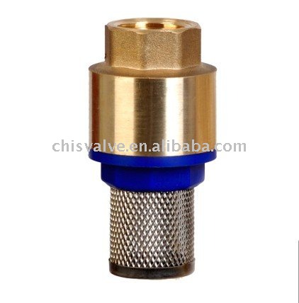 brass check Valve