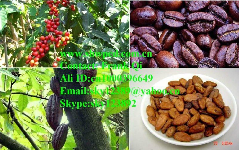 Cacao bean milling machine / grain grinder /cacao bean machine