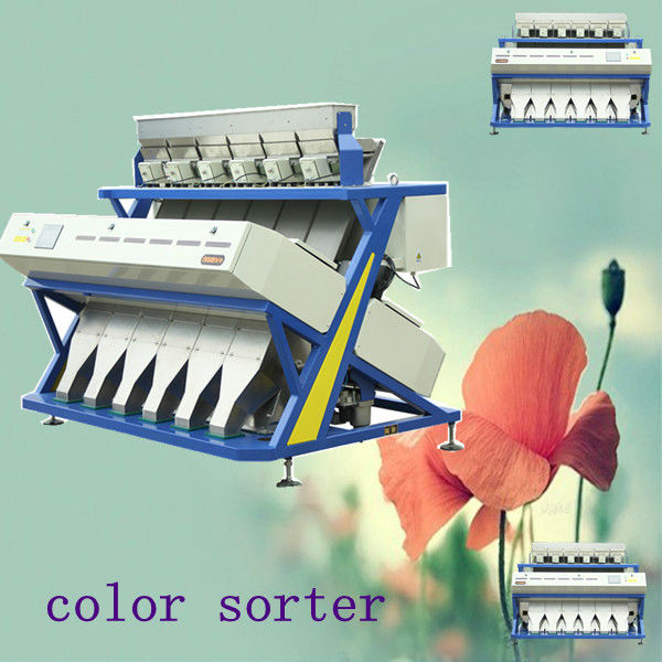 Sortex machine store