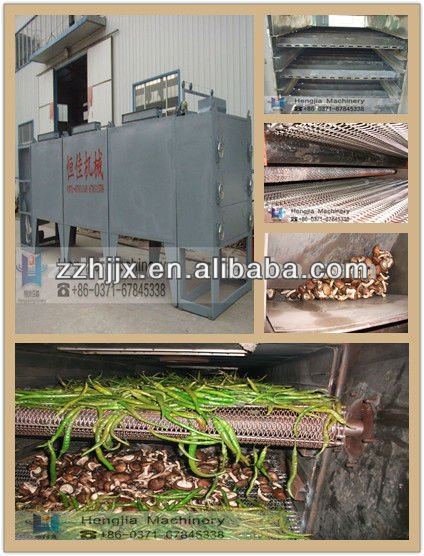 China HJWD Net belt dryer with low price