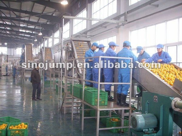 Citrus Fruits Processing line