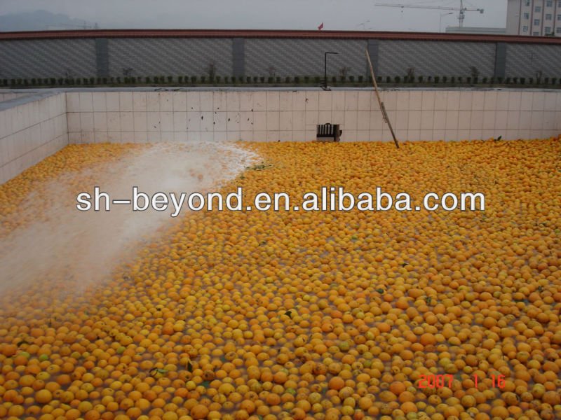 citrus juice processing line orange juice processing equipment