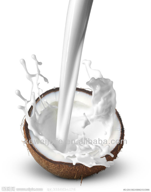 Coconut milk making machine