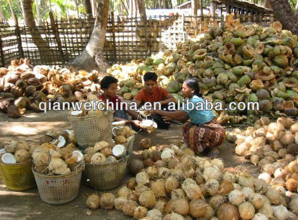 coconut milk process plant