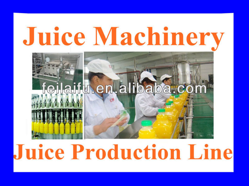 Complete Fruit Juice Production Line(Hot Sale)